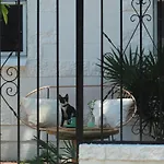 Casa Palmita