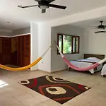 Jungle Oasis By The Beach: Casa Selva On 38Th Street