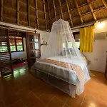 Jungle Oasis By The Beach: Casa Selva On 38Th Street