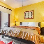 Oceanfront Condo A Block Off 5Th In Heart Of Playa