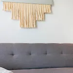 Singular By Stella Rentals