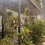 Playacar Master Suites, 2 Pools, Bbq, Beach 5 Min