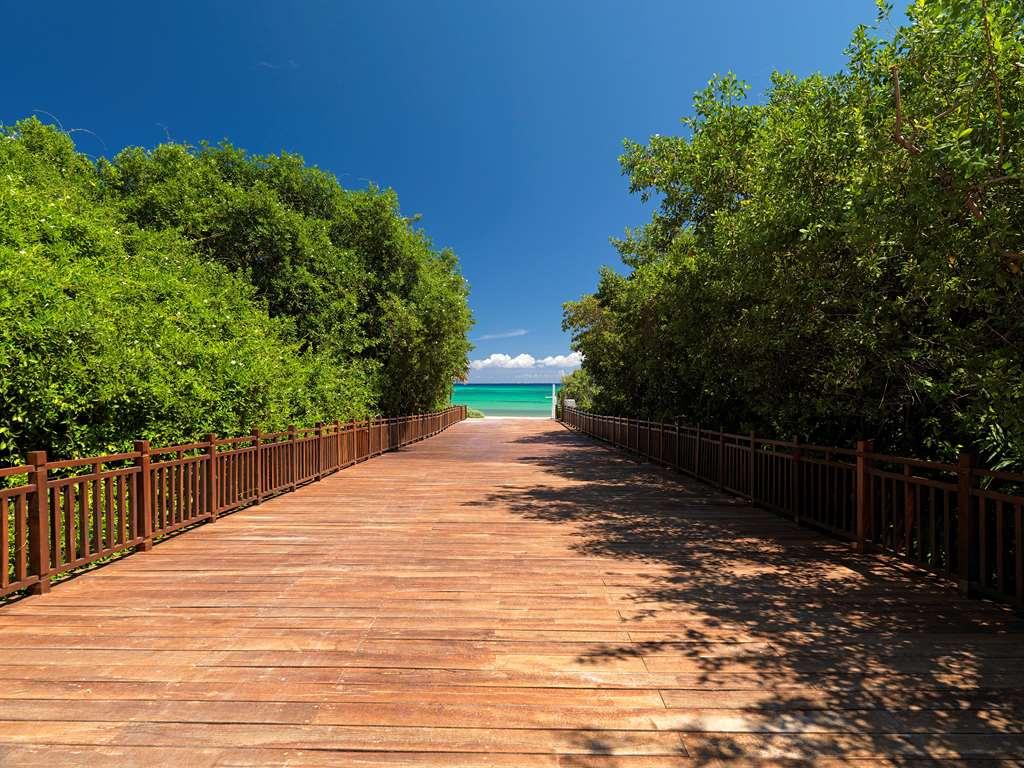Hotel The Reserve Paradisus (adults Only)