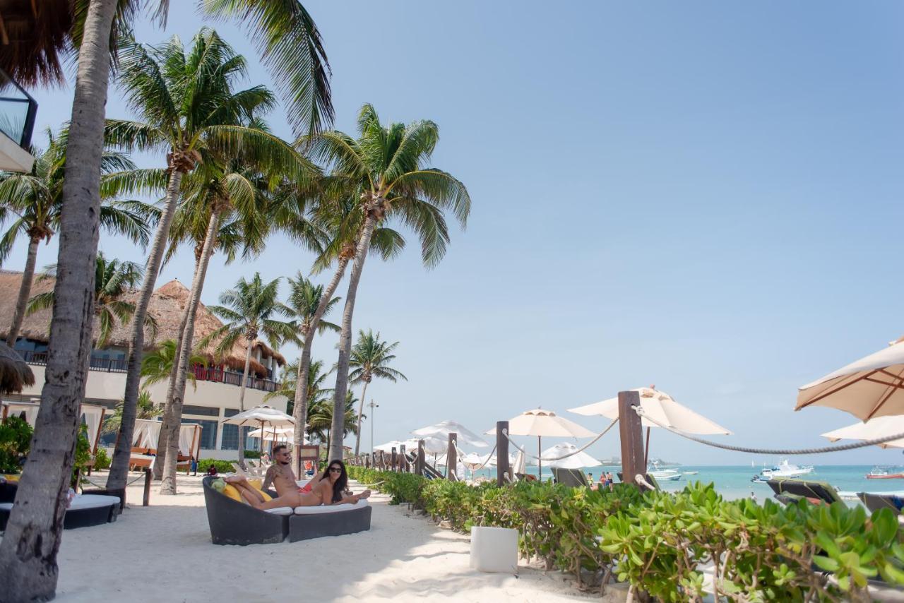 The Reef Coco &