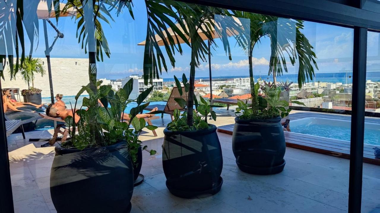 Apartment Luxury Suites , Calle 14th
