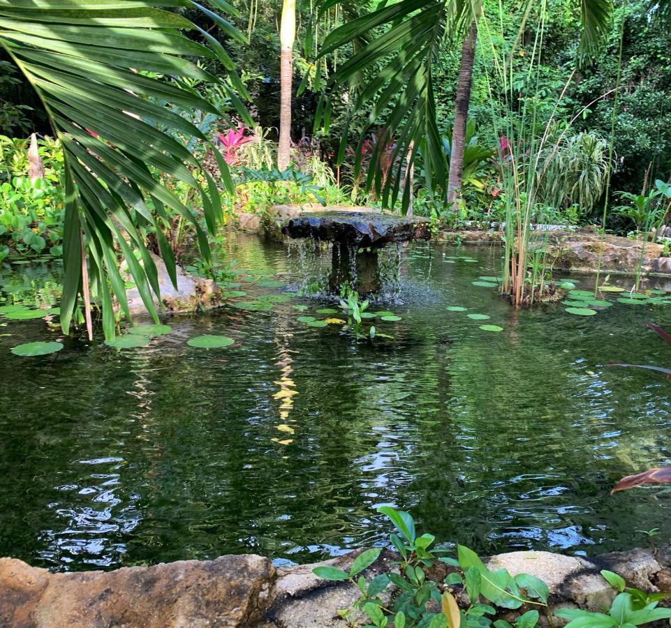 Villa Glass Jungle With Amazing Views -10 Min Dt *