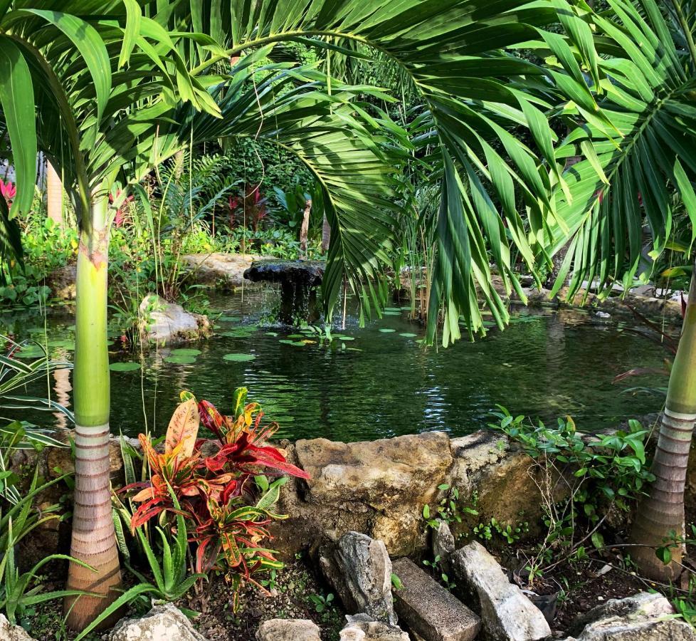 Villa Glass Jungle With Amazing Views -10 Min Dt Playa del Carmen