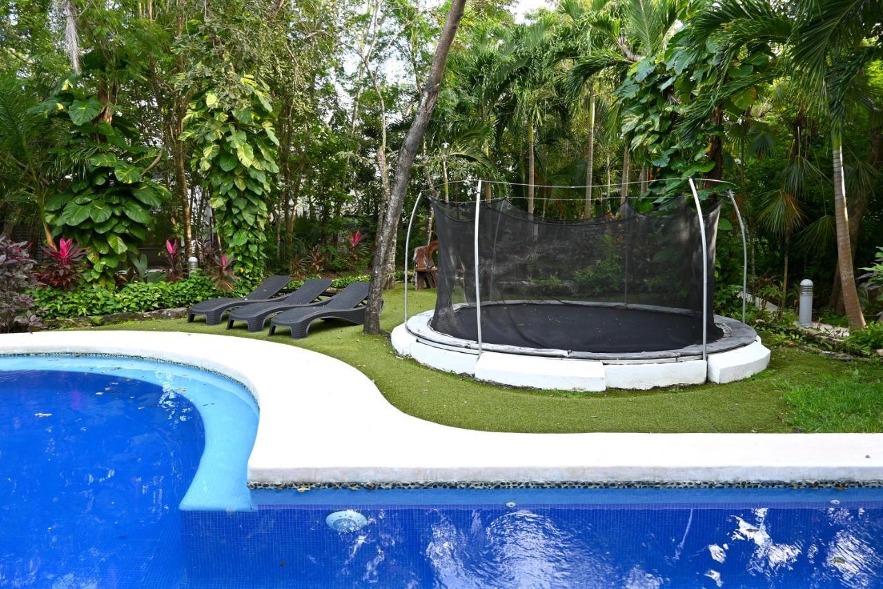 Glass Jungle With Amazing Views -10 Min Dt Playa del Carmen