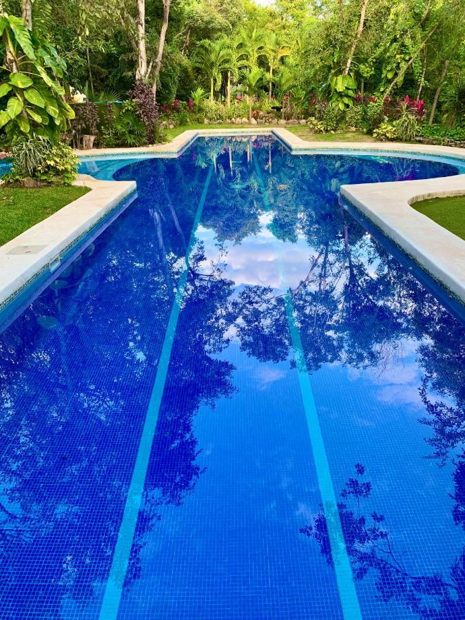 Villa Glass Jungle With Amazing Views -10 Min Dt Playa del Carmen