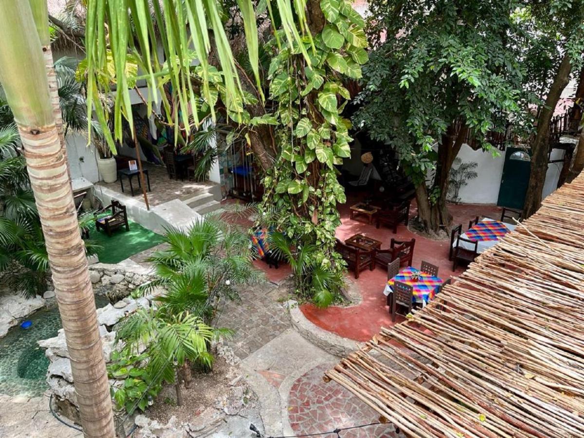 Albergue Hostal Mx 5Th Avenue