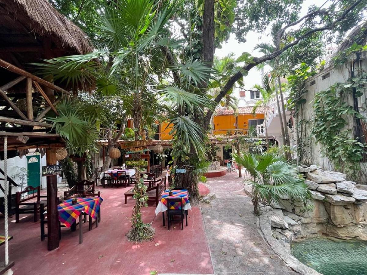 Albergue Hostal Mx 5Th Avenue