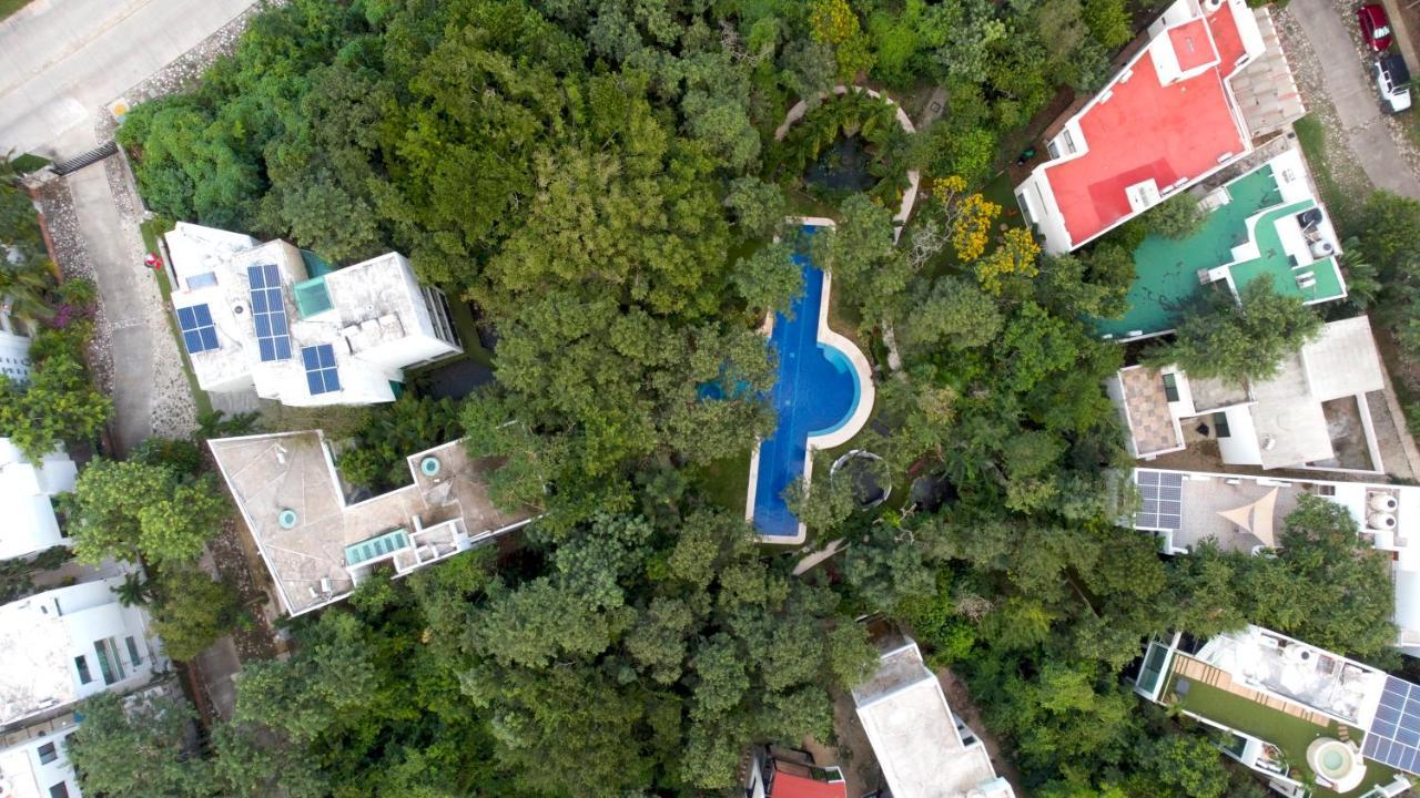 Glass Jungle With Amazing Views -10 Min Dt * Playa del Carmen
