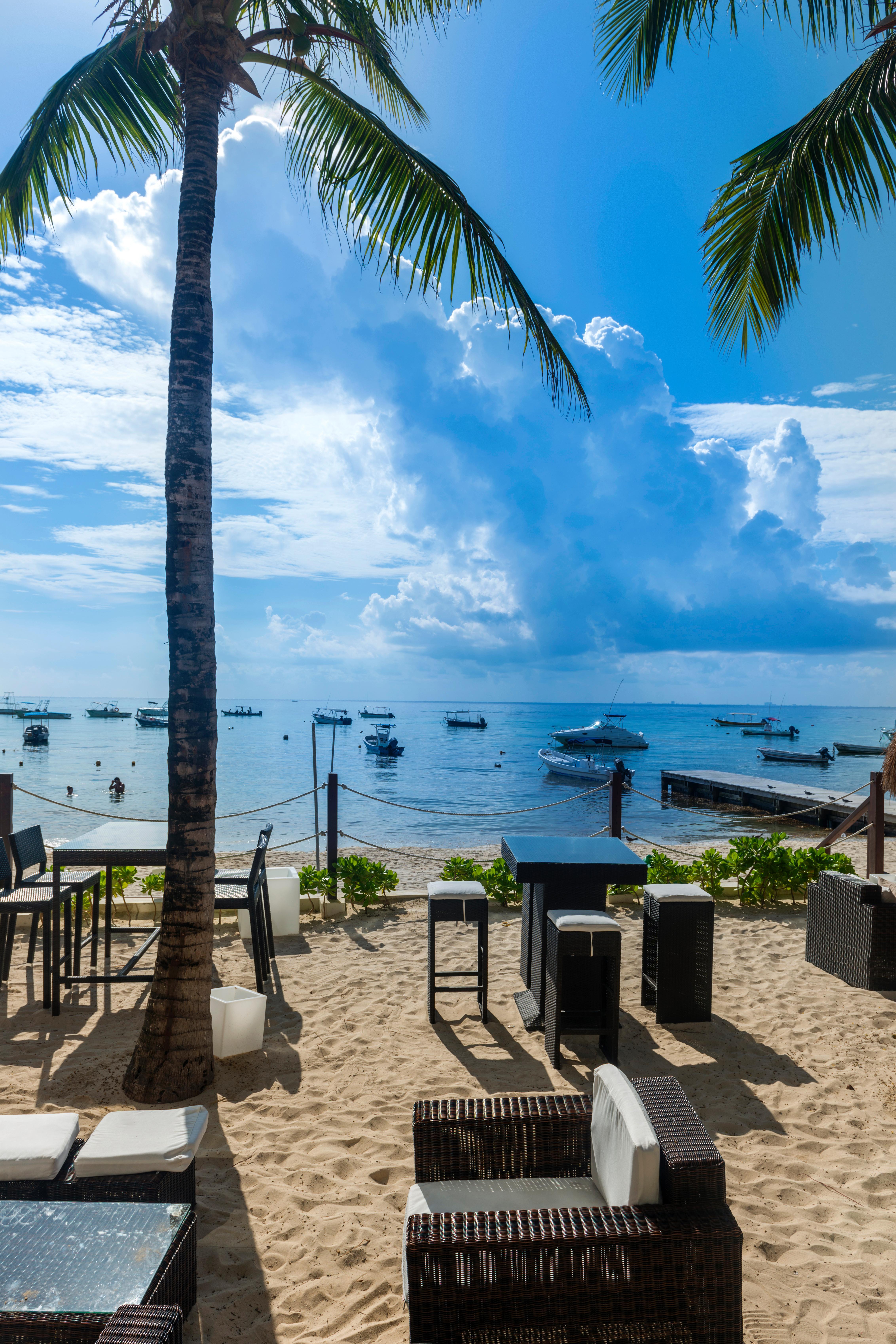 Resort The Reef Coco &