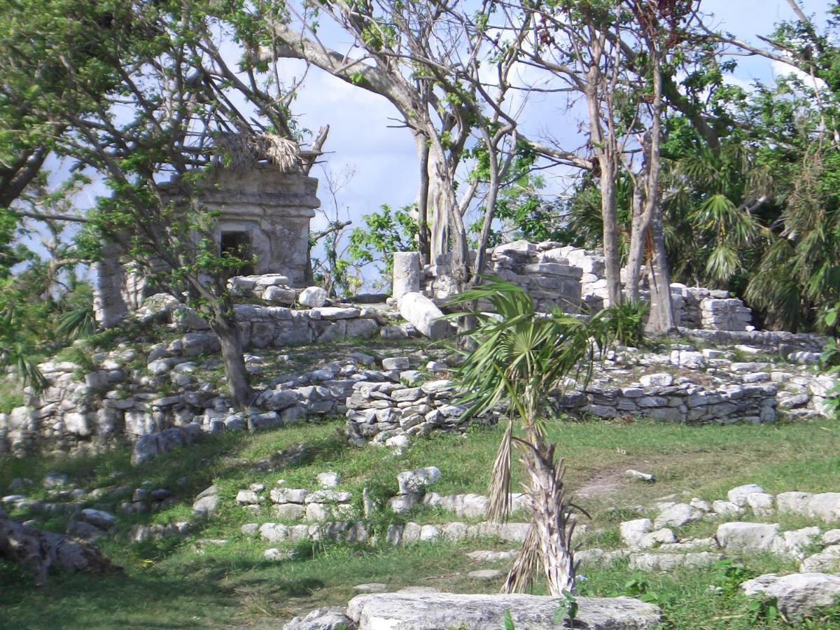 Villa Playacar House 10 Pax! The Location In Playa! By Bookhap Playa del Carmen