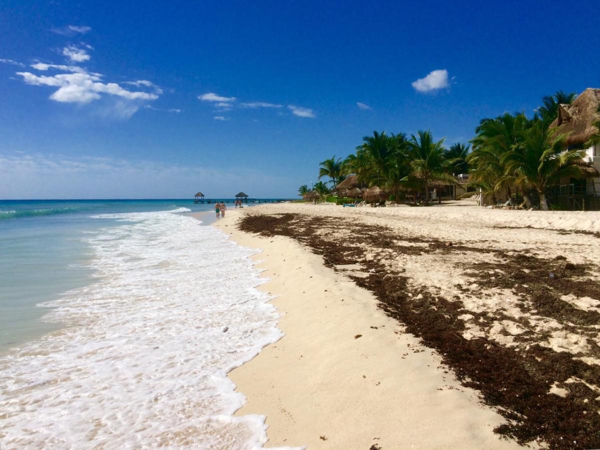 Bonito 2bd Con Piscina Playa Xcalacoco By Yeah Apartment Playa del Carmen