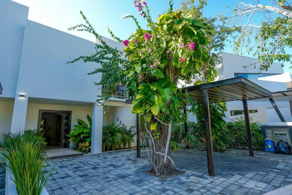 Toh, Riviera Maya Pousada