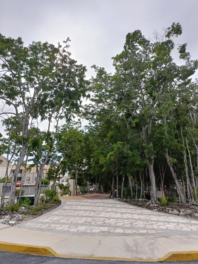 Apartment Charming Hoestel Reiden! Playa del Carmen