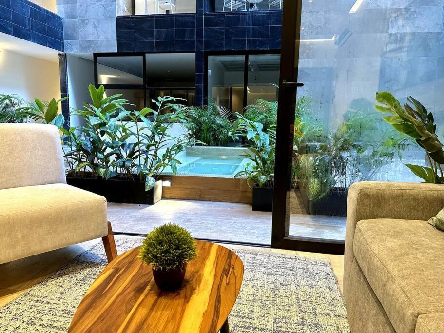 Apartment Musa Del Carmen By Solmar - Rooftop Pool & Bar By Solmar