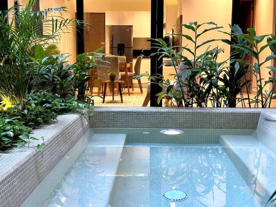 Musa Del Carmen By Solmar - Rooftop Pool & Bar By Solmar Apartment *