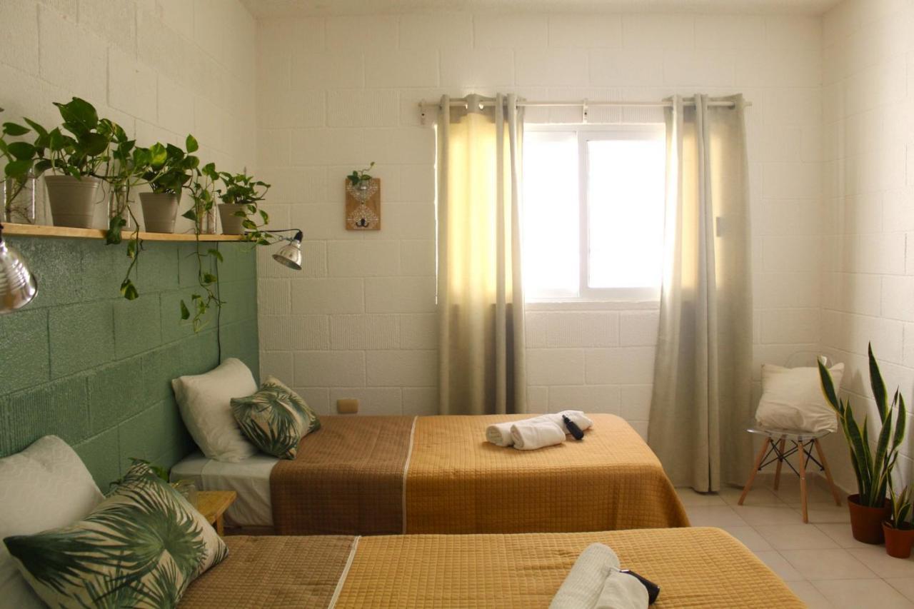 Casa Palmita Guest house