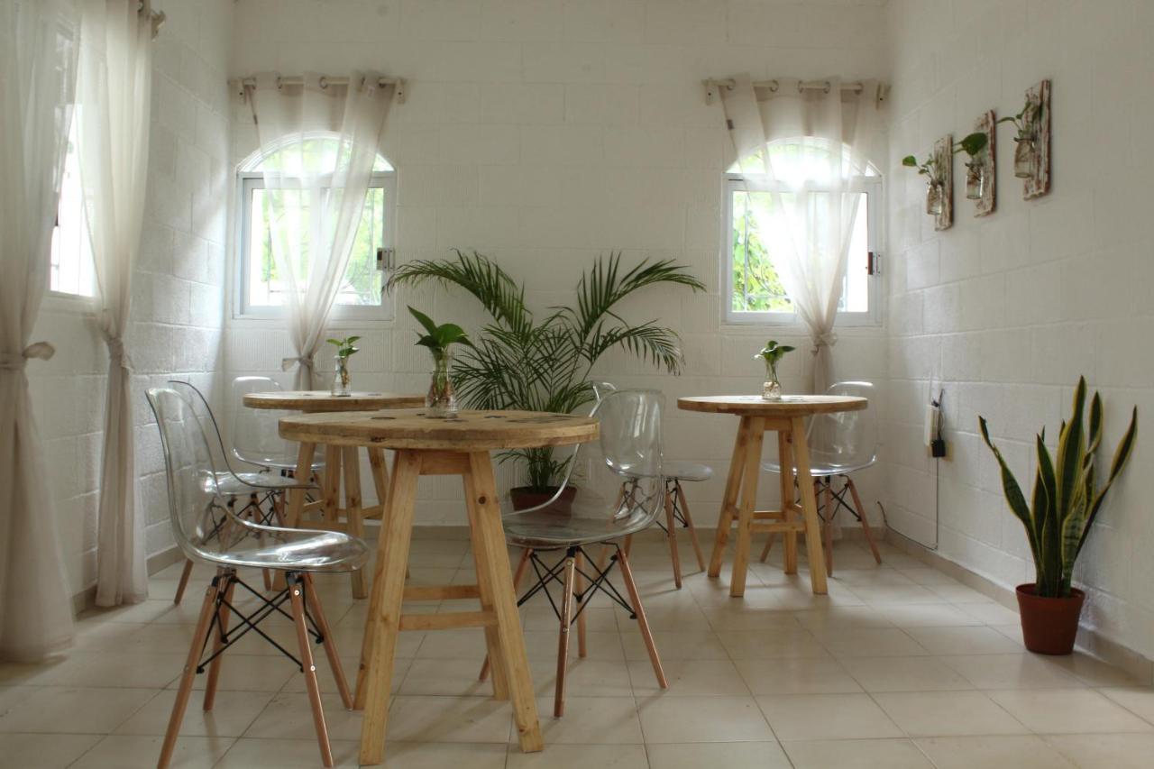 Casa Palmita *