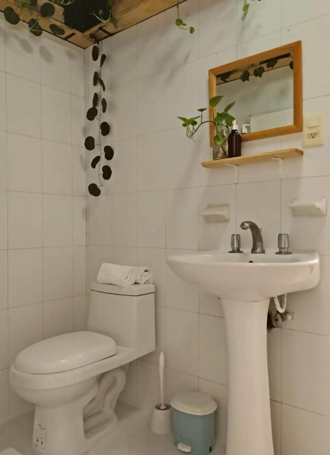 Casa Palmita *