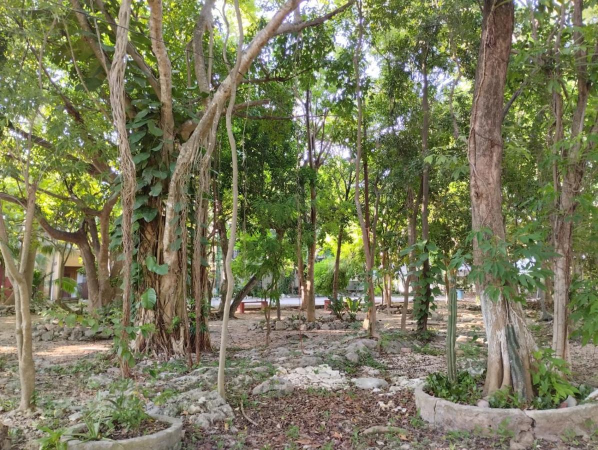 Casa Palmita * Playa del Carmen