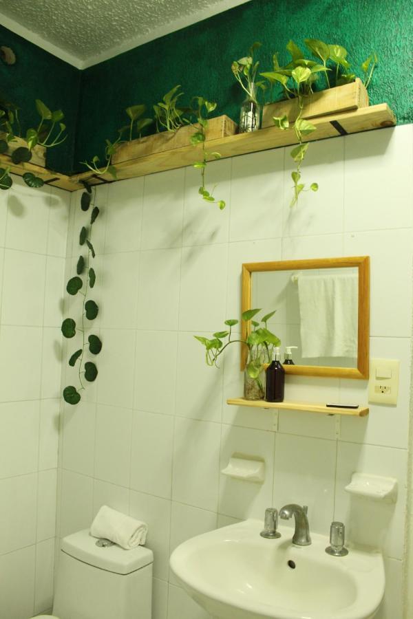 Casa Palmita Guest house *