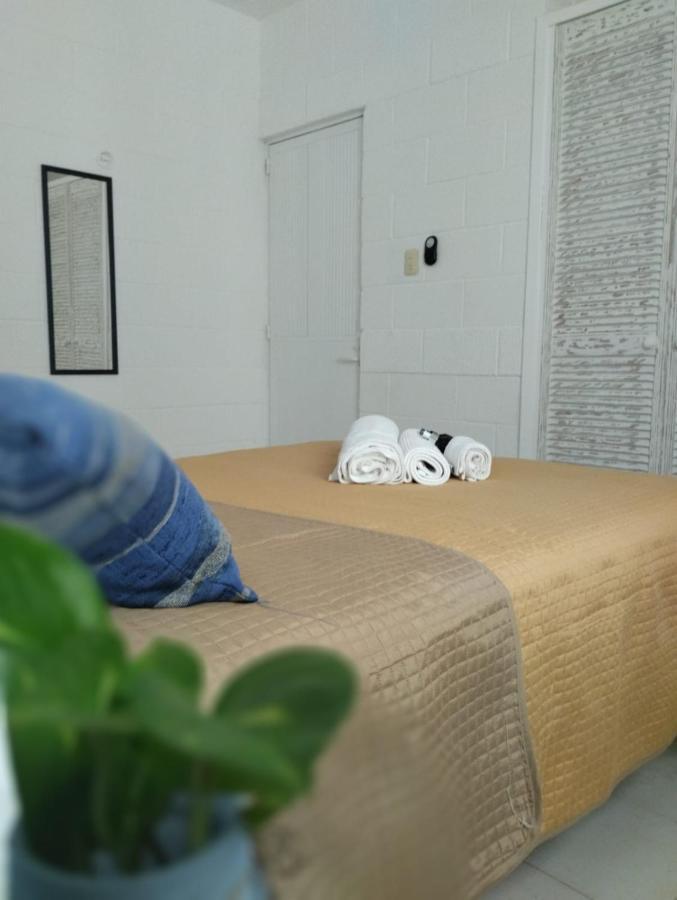 Guest house Casa Palmita