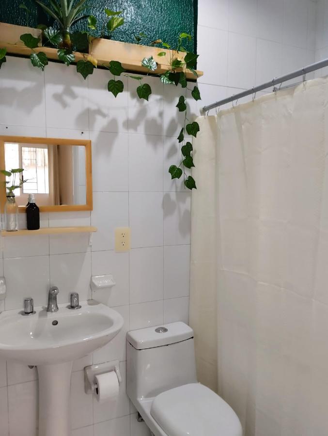 Guest house Casa Palmita