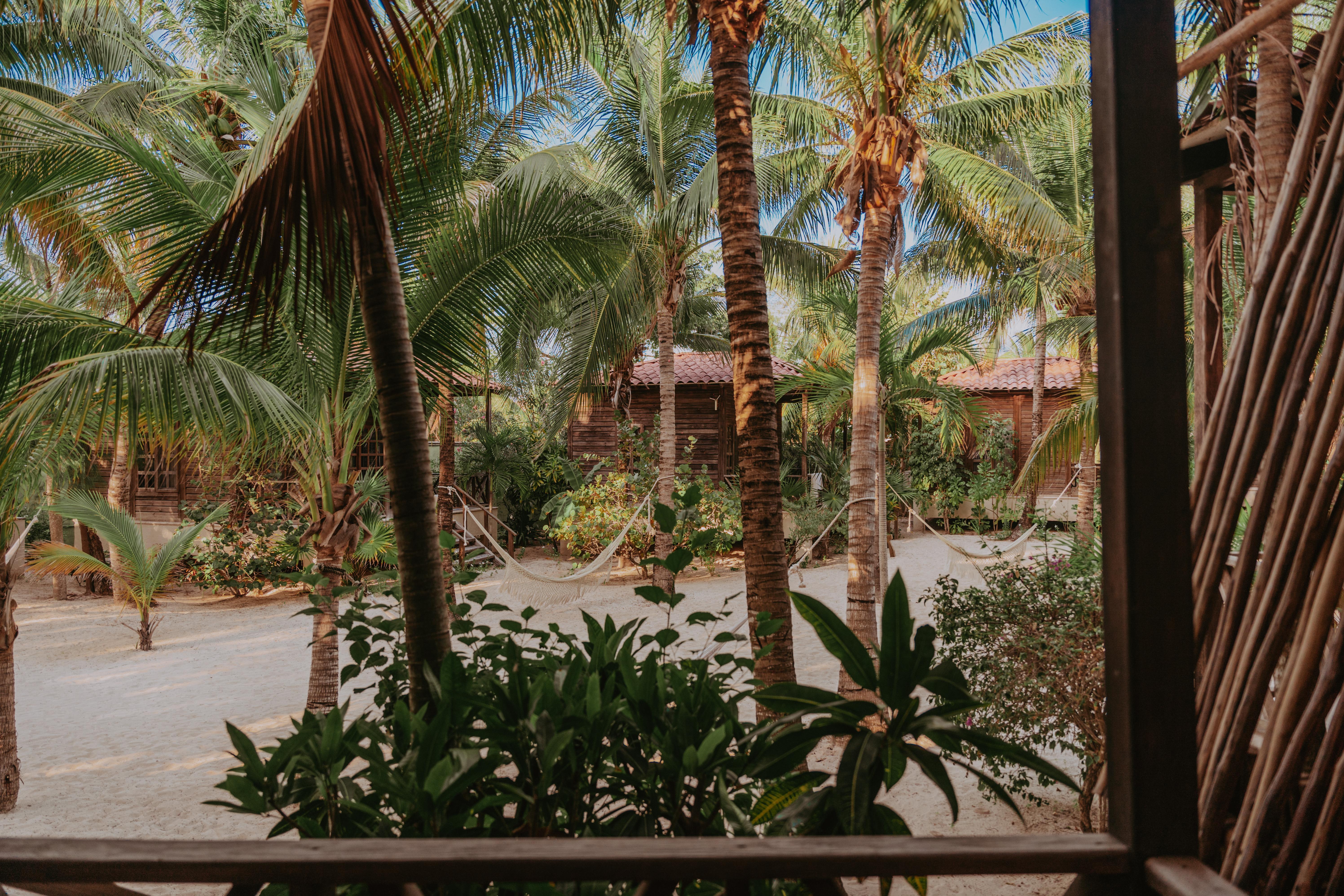 Hotel Petit Lafitte Front Hotel&bungalows