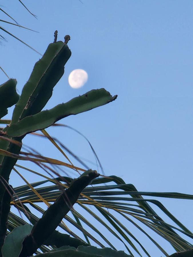 Bed and breakfast Myoli Wellness & Happiness Playa del Carmen
