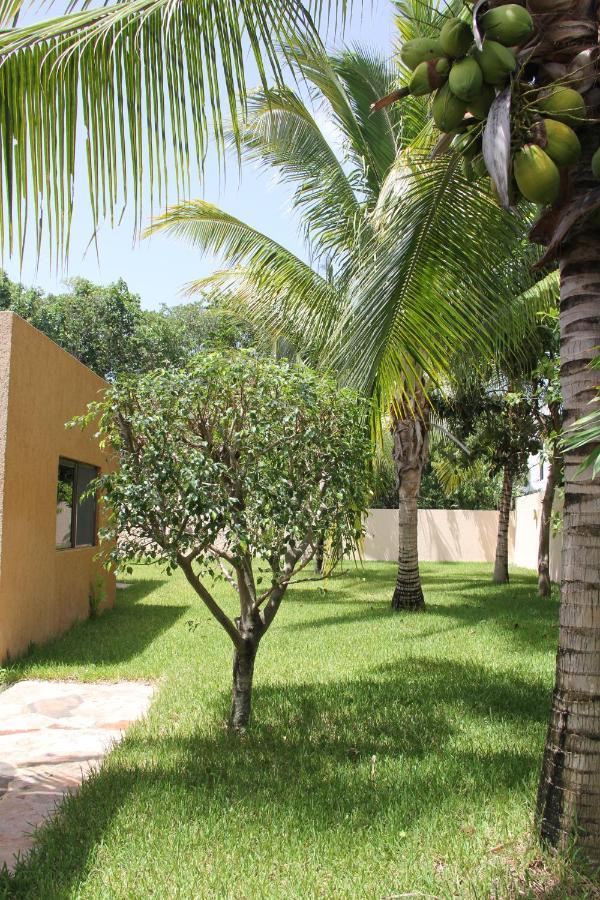 Bed and breakfast Myoli Wellness & Happiness
