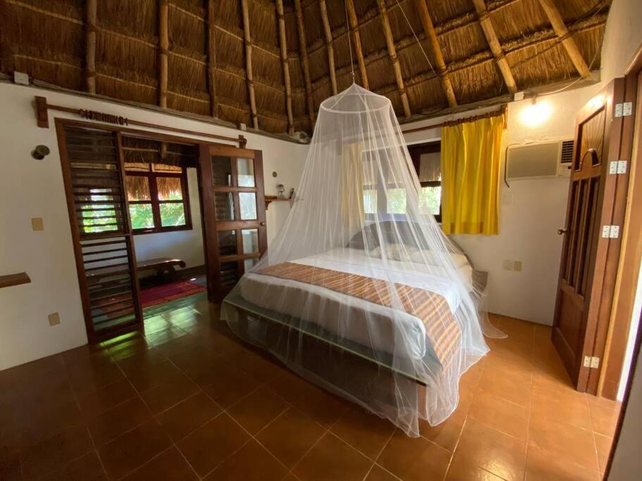 Jungle Oasis By The Beach: Casa Selva On 38th Street * Playa del Carmen