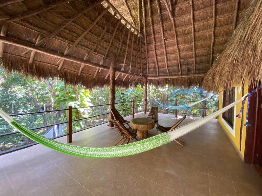 Jungle Oasis By The Beach: Casa Selva On 38th Street