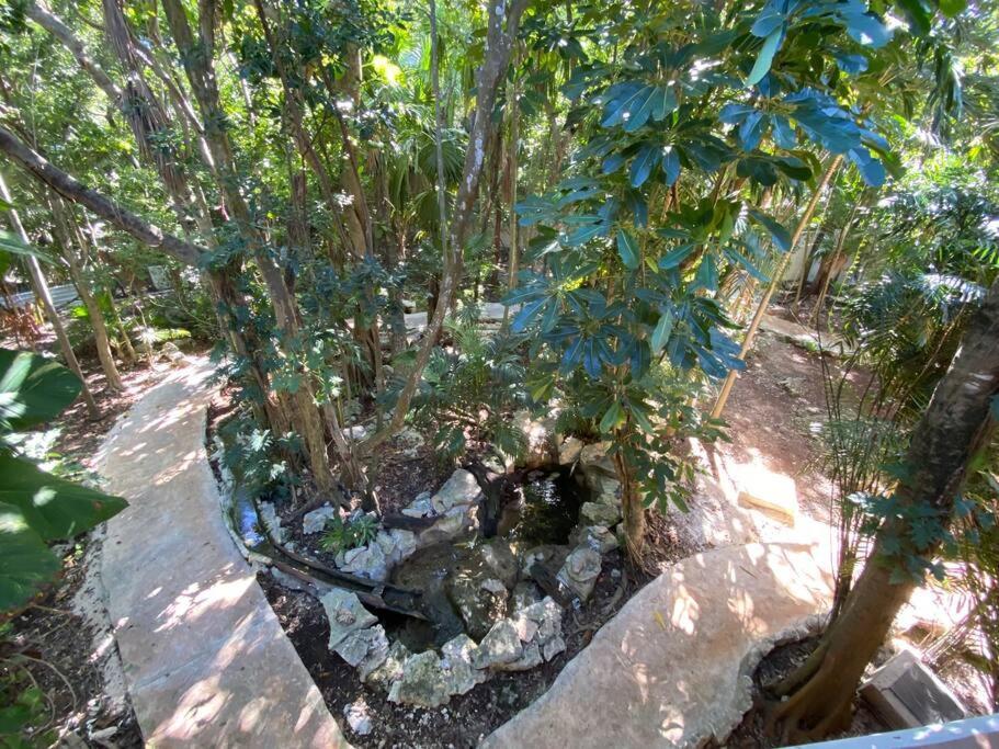 Jungle Oasis By The Beach: Casa Selva On 38th Street * Playa del Carmen
