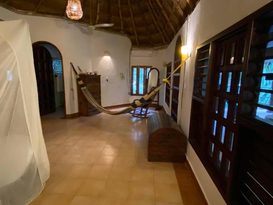 Jungle Oasis By The Beach: Casa Selva On 38th Street *