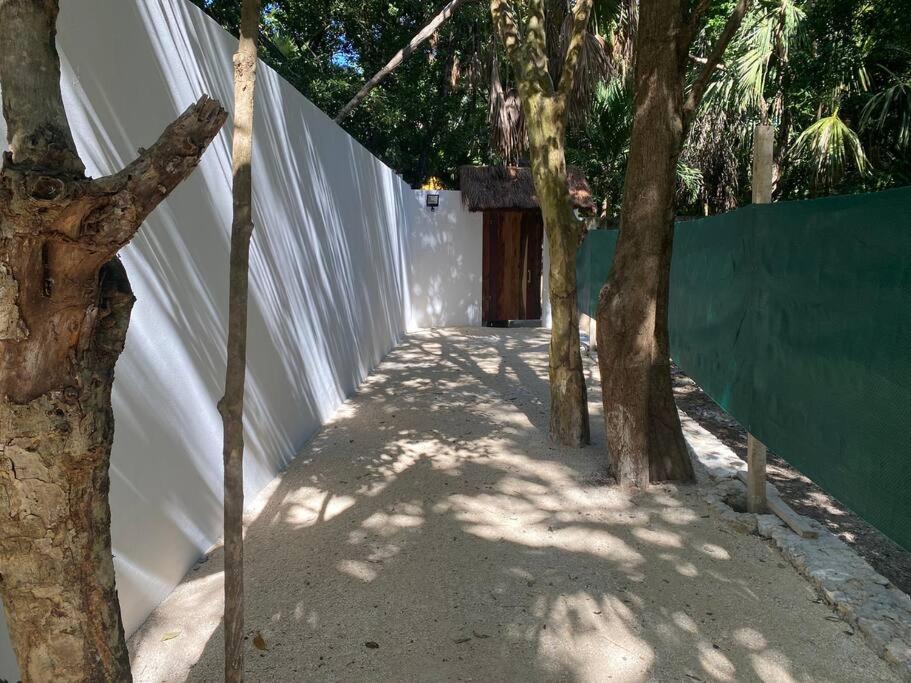 Jungle Oasis By The Beach: Casa Selva On 38th Street * Playa del Carmen