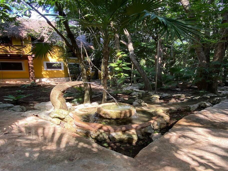 Holiday home Jungle Oasis By The Beach: Casa Selva On 38th Street