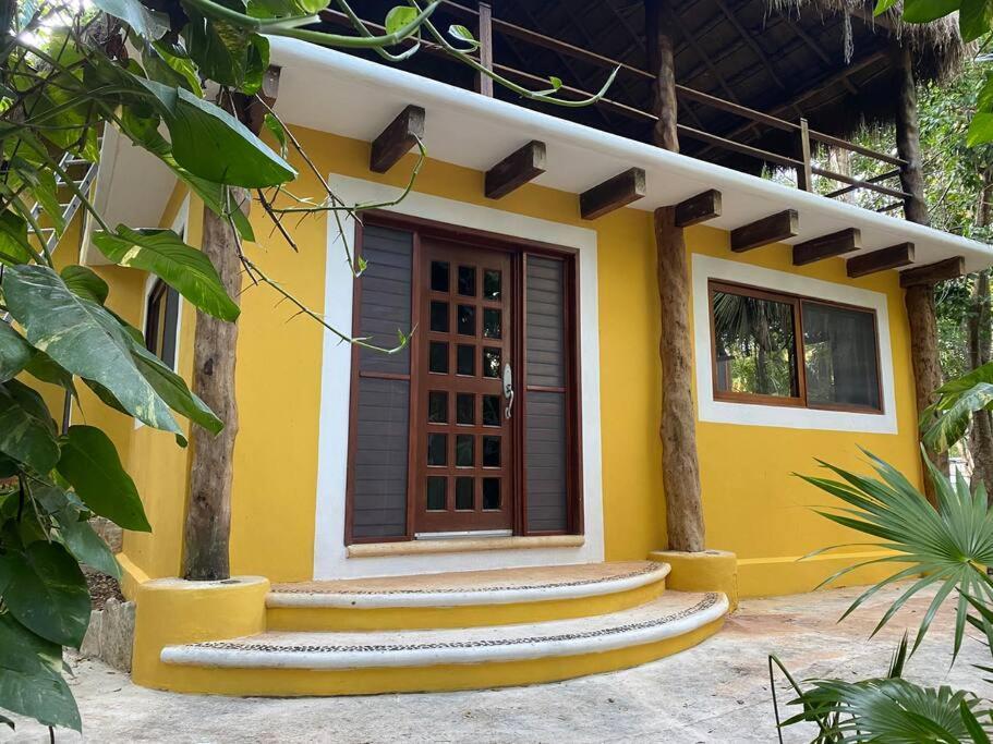 Jungle Oasis By The Beach: Casa Selva On 38th Street Holiday home