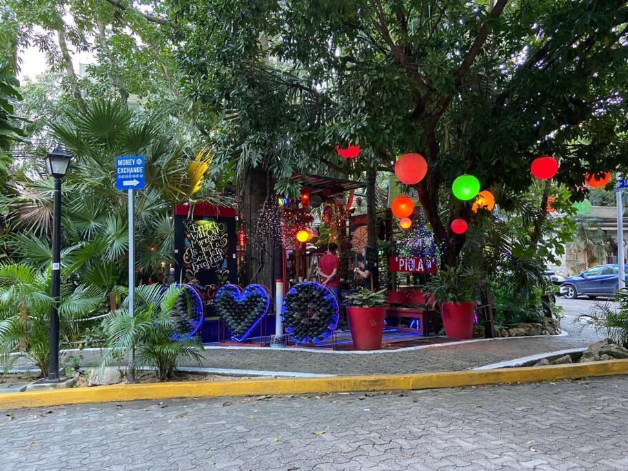 Jungle Oasis By The Beach: Casa Selva On 38th Street *