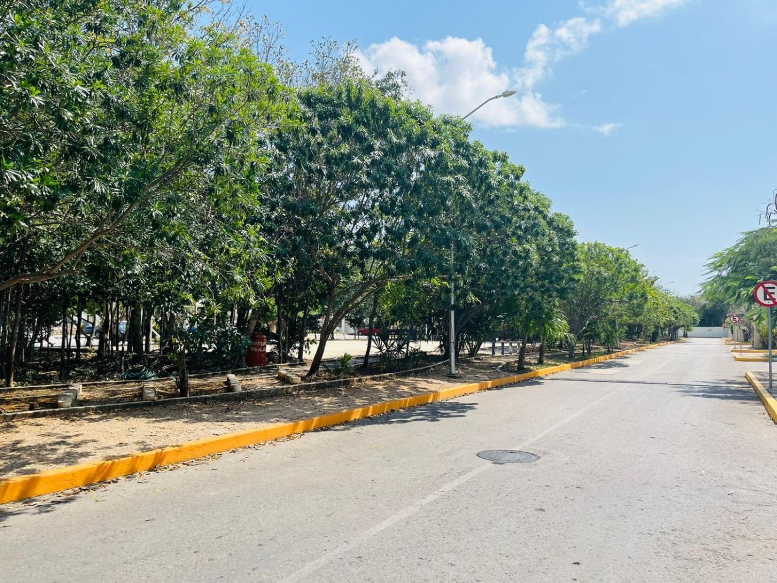 Apartamento Amplio De 2 En *