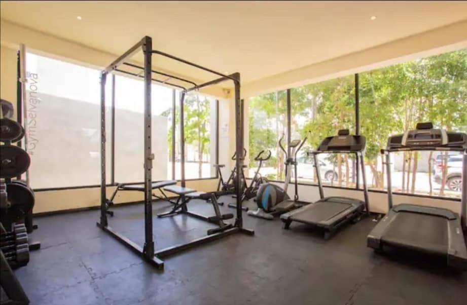 Apartamento Selva