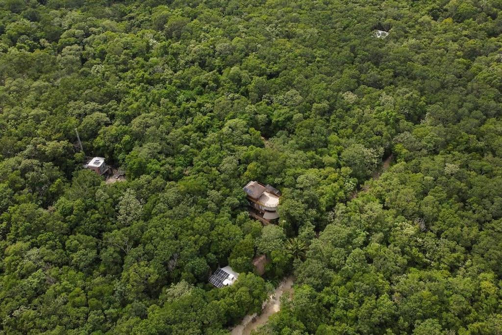 Palapa De La Selva With Cenotes Ferienhaus