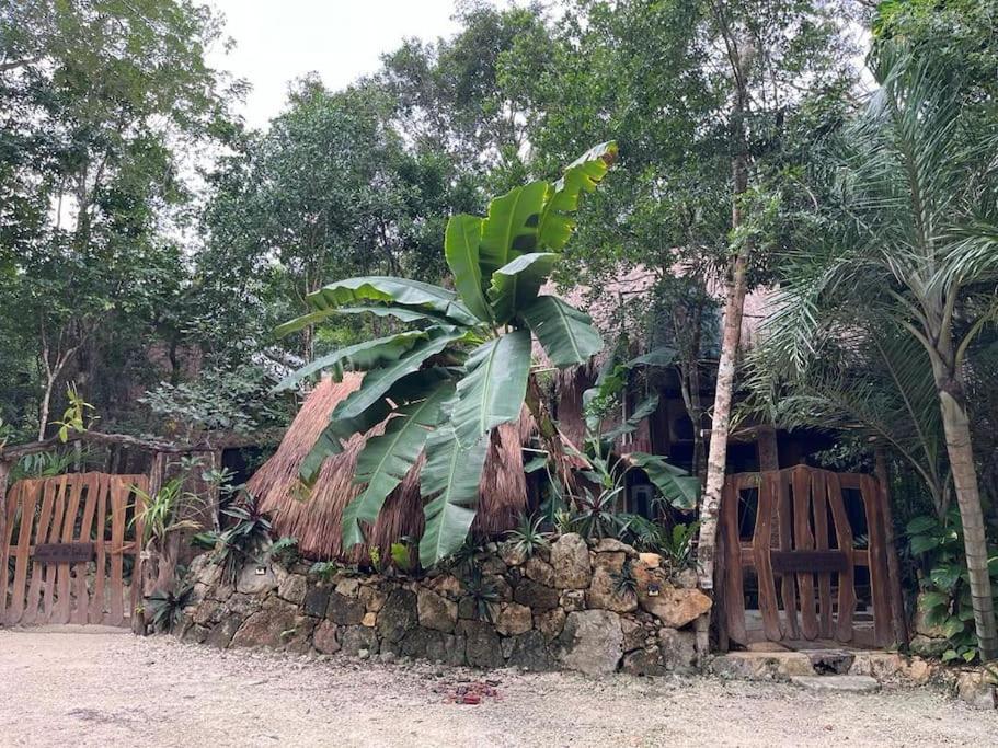 Ferienhaus Palapa De La Selva With Cenotes