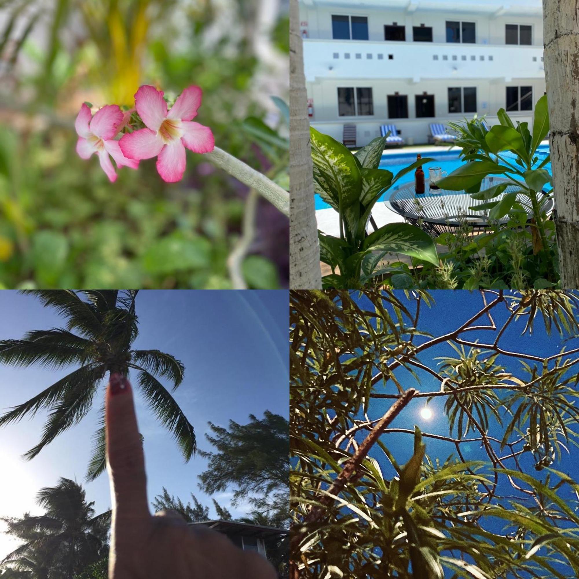 Hotel Balxiba 3*