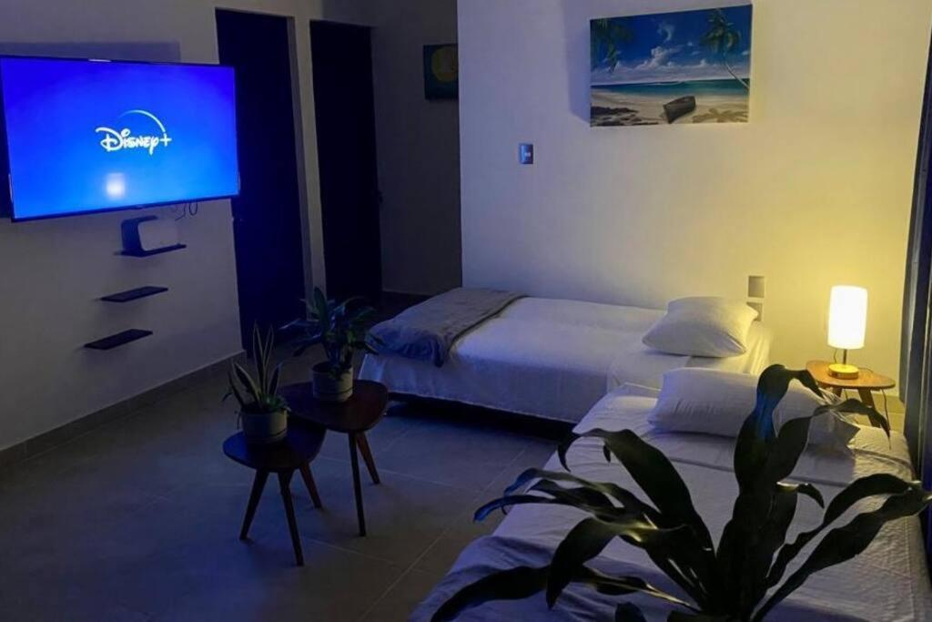 Apartment Startip Condo Playa Del Carmen Piscina, Wi-Fi Y Restaurantes