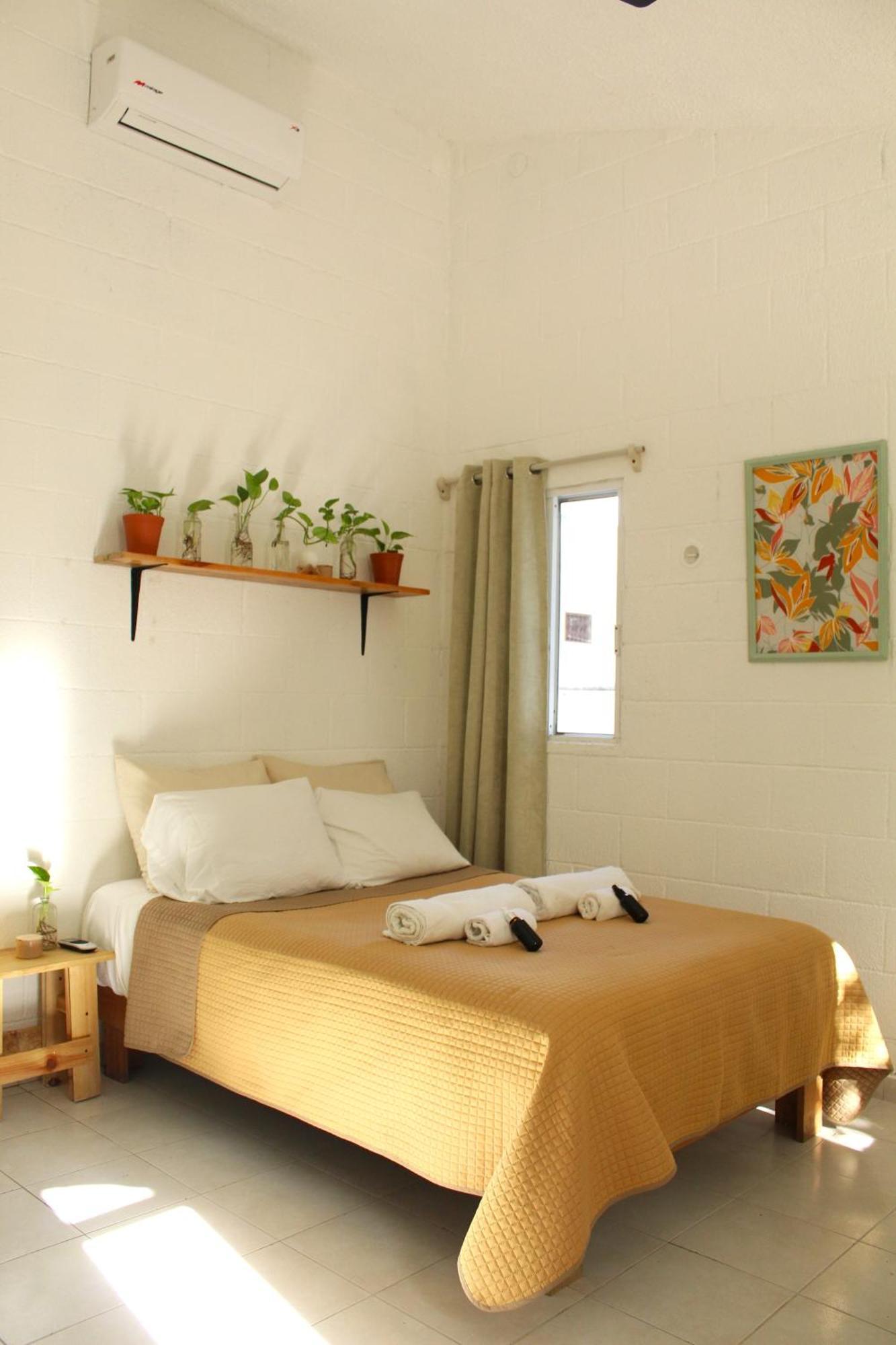 Casa Palmita Guest house