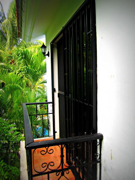 Hibiscus 3*