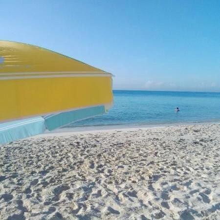 Depa De Lujo En El Corazon De La Riviera Maya Apartment
